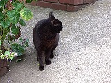 c0189683_192613100.jpg