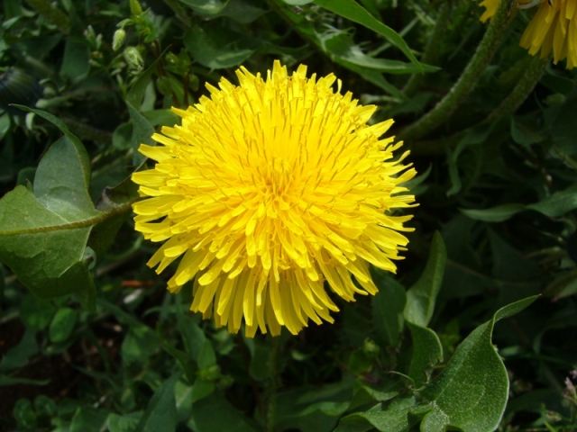 f0079085_21472395.jpg