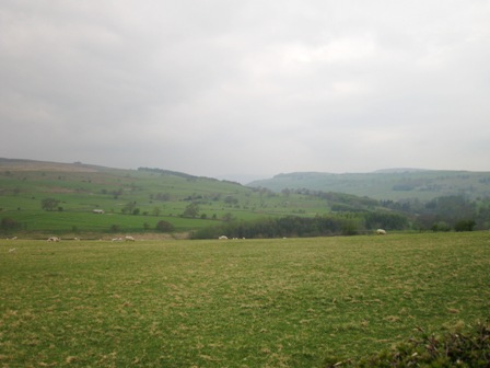 f0141785_23325412.jpg