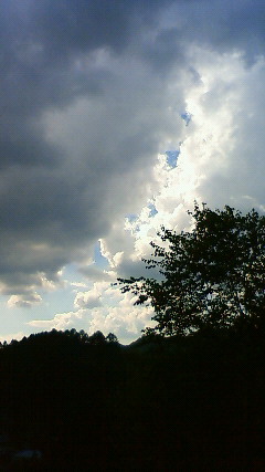 a0130586_19464755.jpg