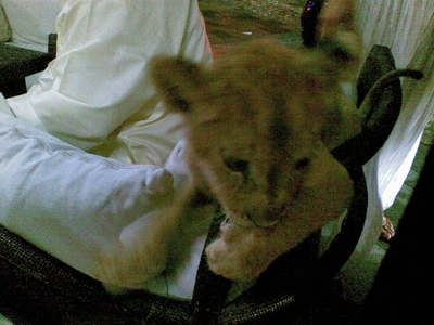 c0095986_618560.jpg