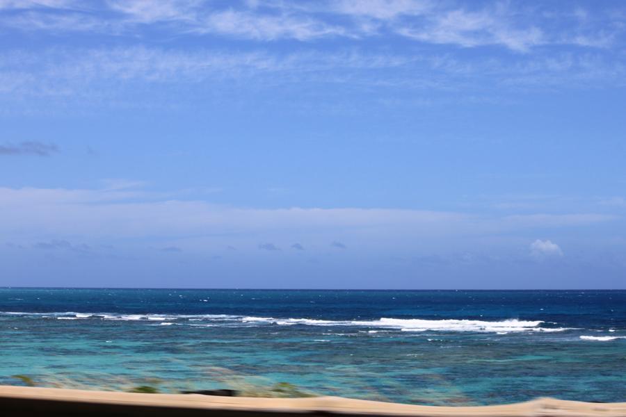 f0138588_9413979.jpg