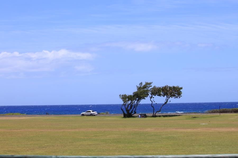 f0138588_9421041.jpg