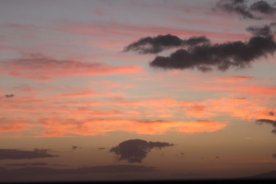 f0138588_9435822.jpg