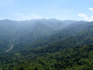 c0018489_0484381.jpg