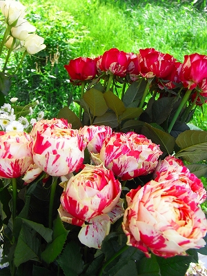 c0207890_0441511.jpg