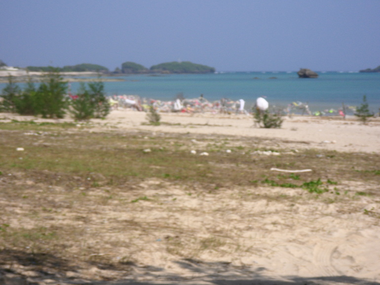b0017892_1043462.jpg
