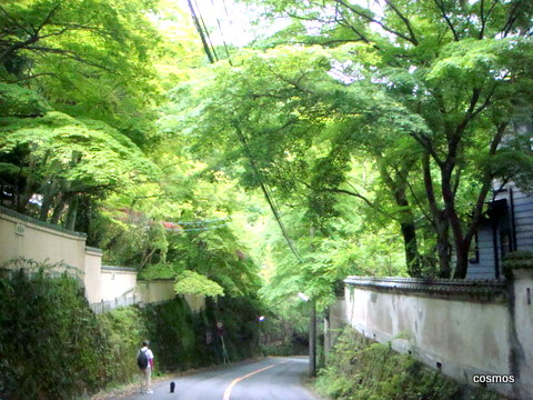 f0137694_9343643.jpg