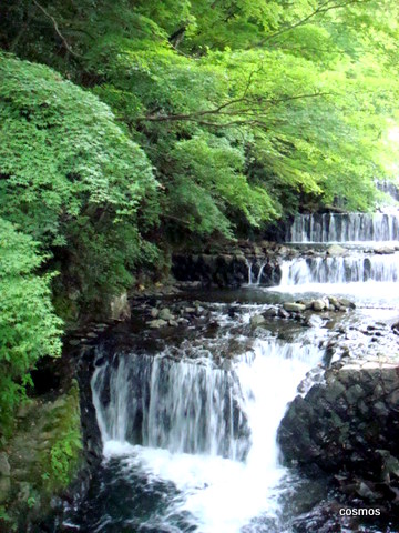 f0137694_9392676.jpg