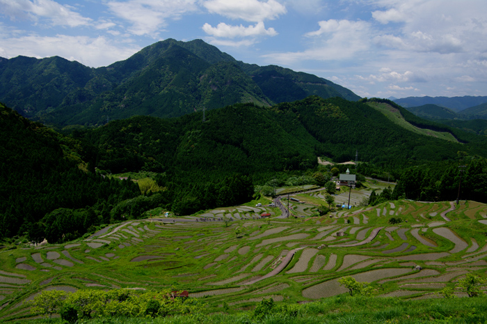 e0079696_2120118.jpg