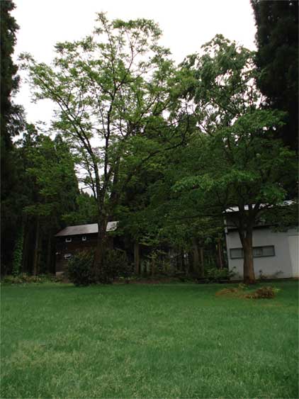 a0061599_7301549.jpg