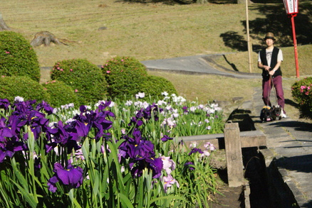 d0164100_23103040.jpg