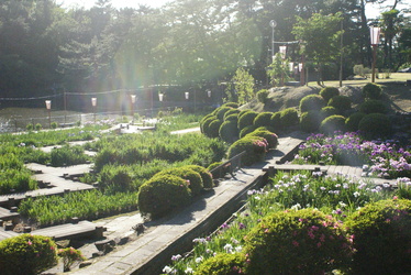 d0164100_2312491.jpg