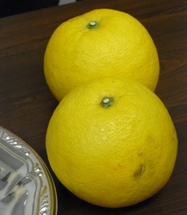 e0145301_15203752.jpg