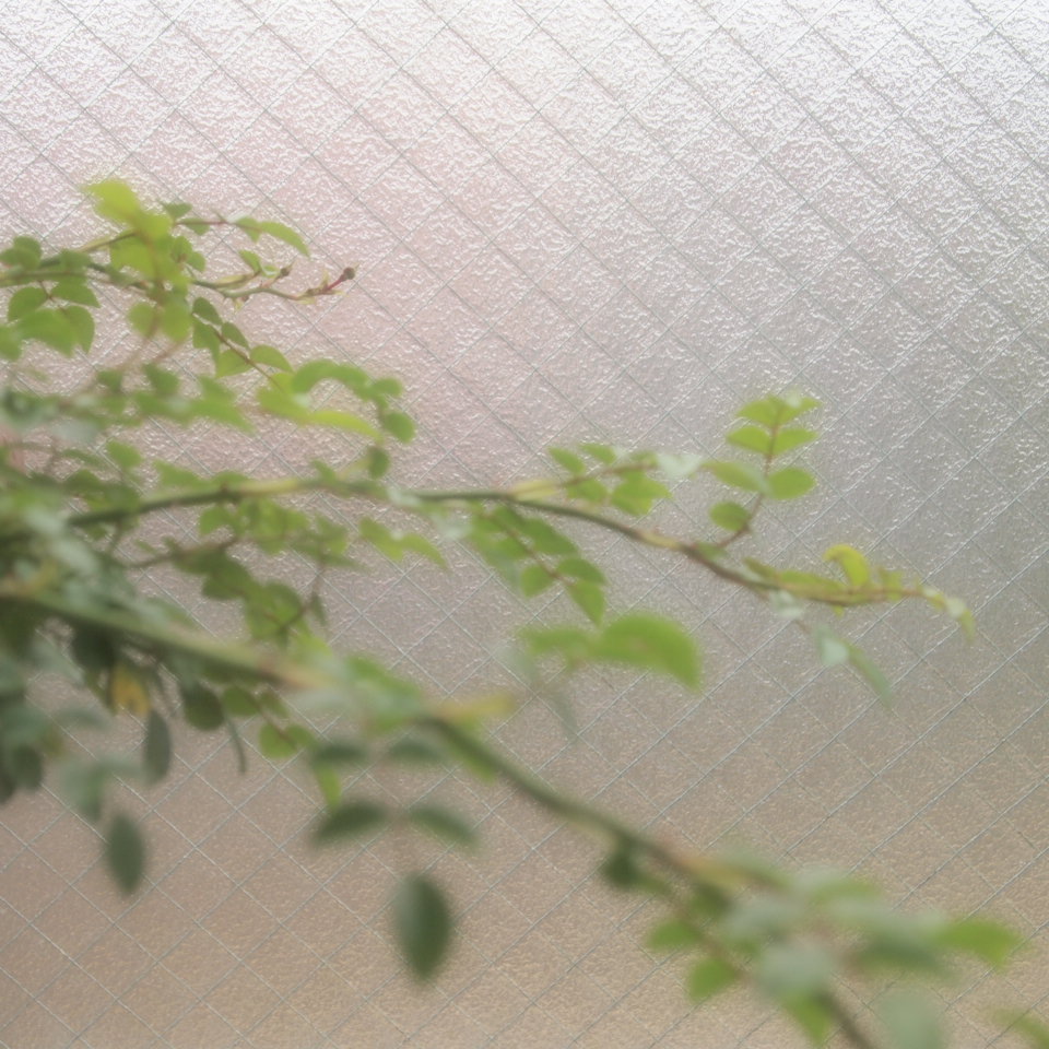 f0236201_8285320.jpg