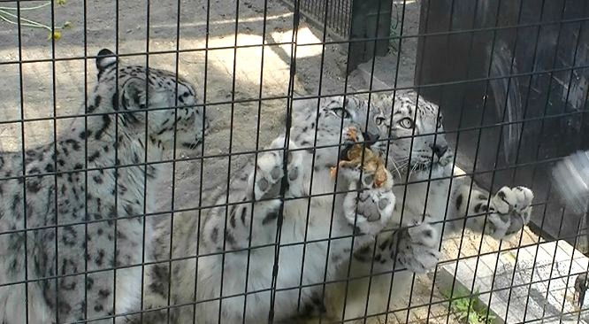 c0155902_2212736.jpg