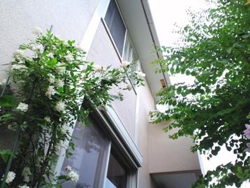 f0139405_17383646.jpg
