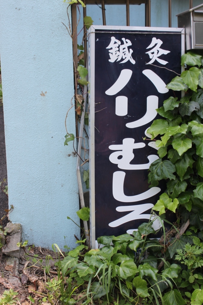 a0147507_21325219.jpg