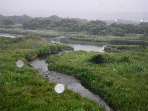 e0123808_0241259.jpg