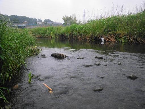 e0123808_025885.jpg