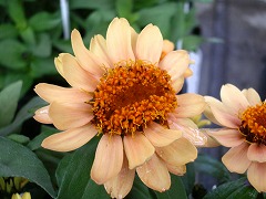 c0190010_21374788.jpg