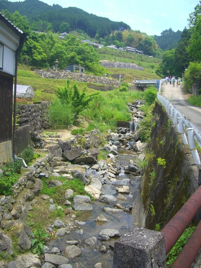d0007913_081738.jpg