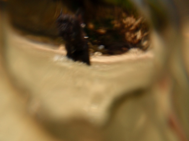b0143214_057297.jpg