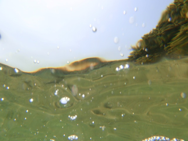 b0143214_0581718.jpg