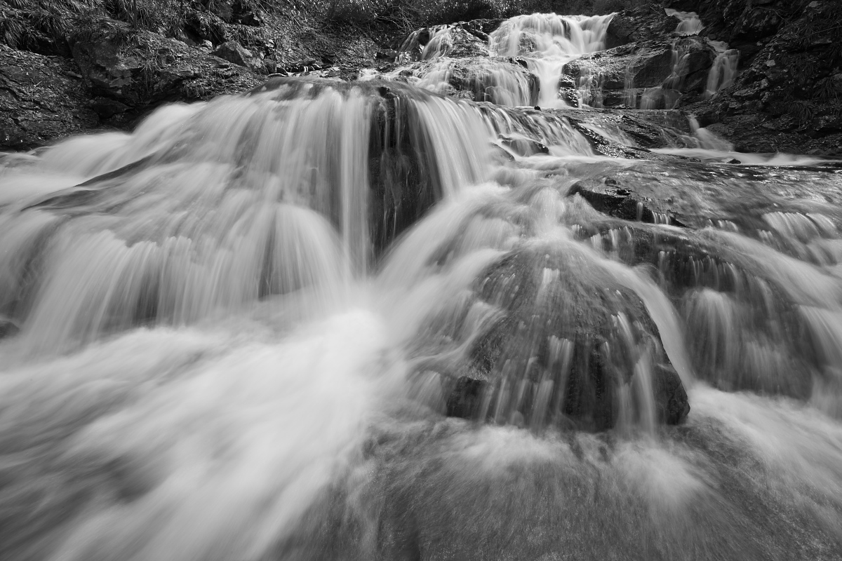 c0153616_8302014.jpg