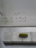 e0112619_0495360.jpg