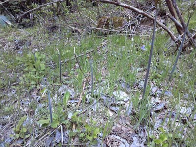 c0227720_23224467.jpg