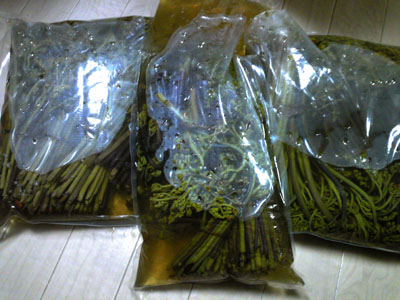 c0227720_23271656.jpg