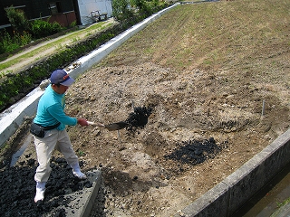 e0002820_1045791.jpg