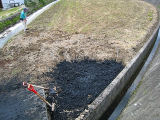 e0002820_1052828.jpg