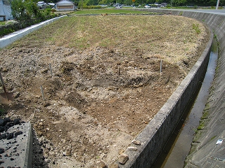 e0002820_9543357.jpg