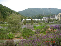 d0167422_610720.jpg