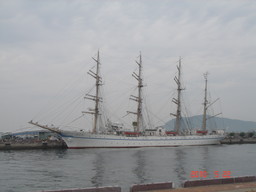 d0167422_694448.jpg