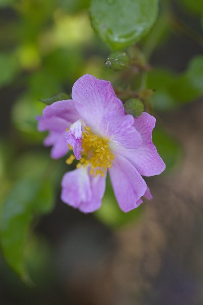 a0055024_20123335.jpg