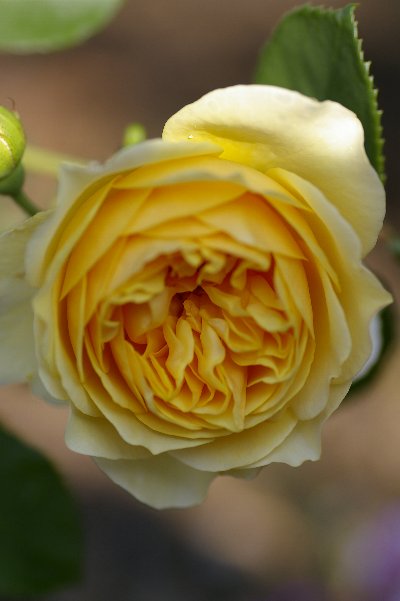 a0055024_2083721.jpg