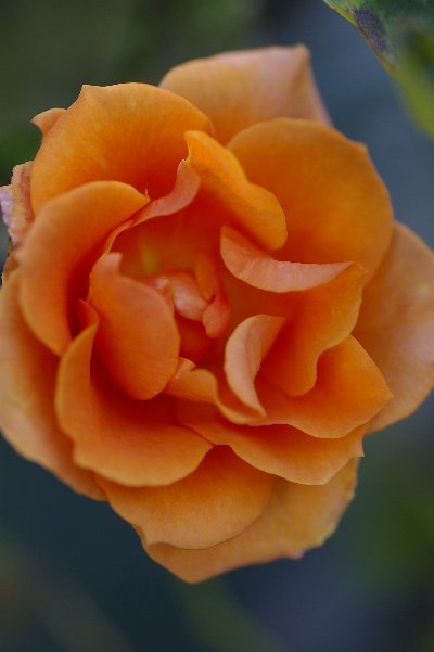 a0055024_209468.jpg