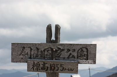 e0181928_13481691.jpg