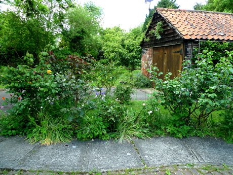 f0165831_1305322.jpg