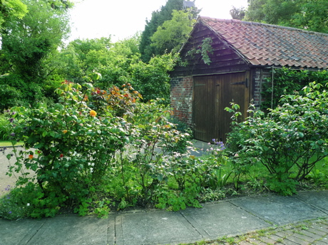 f0165831_1311832.jpg