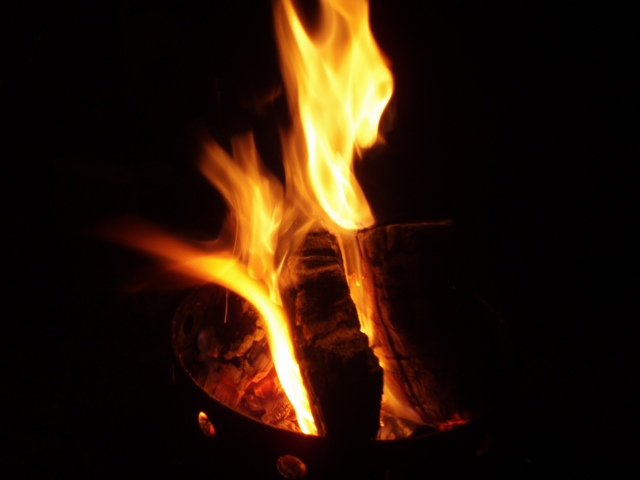 c0105338_16595776.jpg