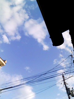 c0152241_1875419.jpg
