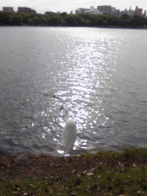 c0029442_16571251.jpg