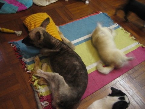 e0018143_2243432.jpg