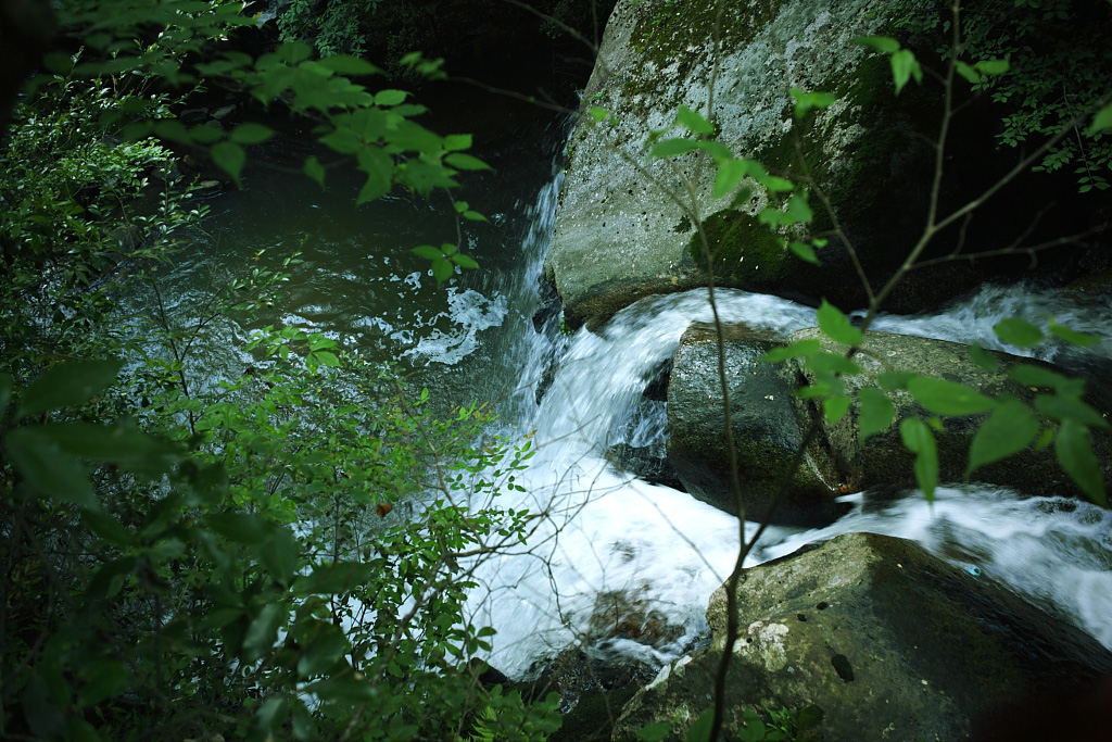 e0137244_18472384.jpg