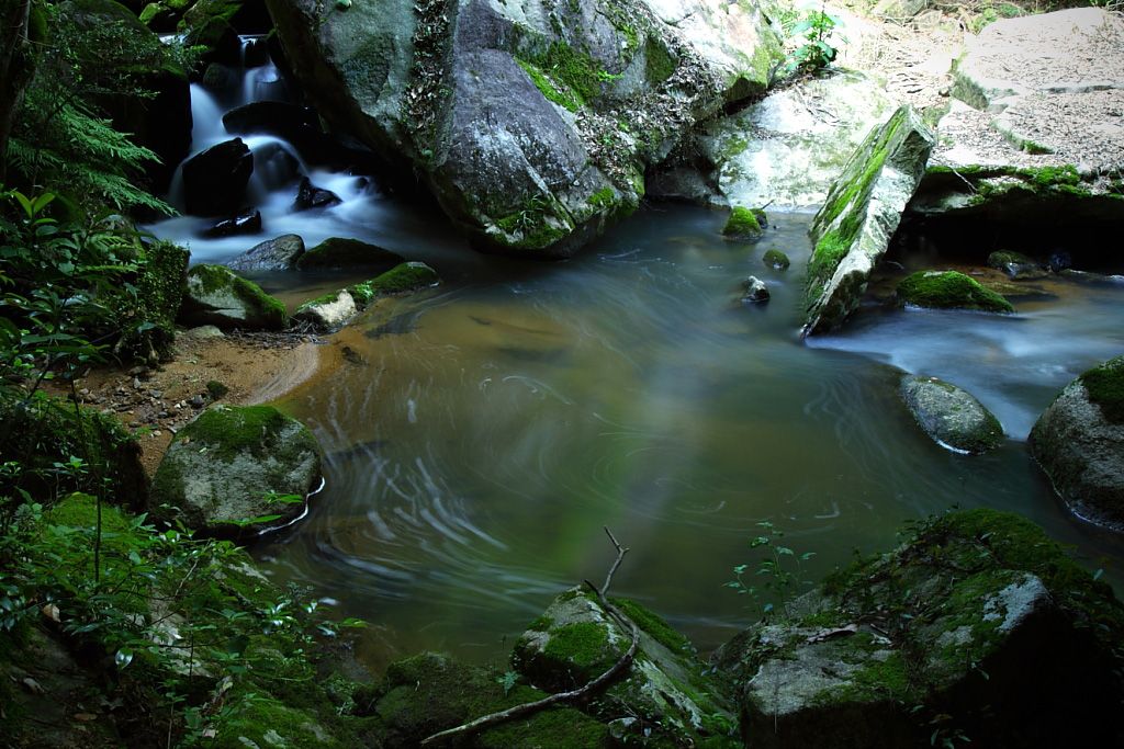 e0137244_18511218.jpg