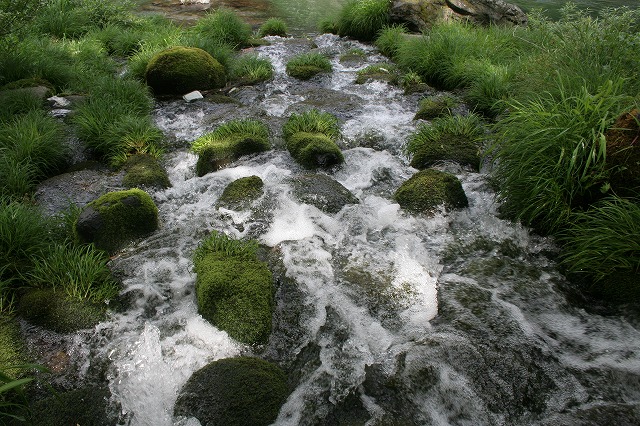 a0025948_1215459.jpg